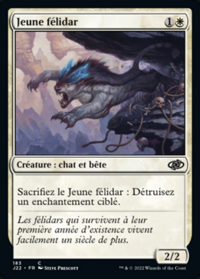 image Jeune félidar
