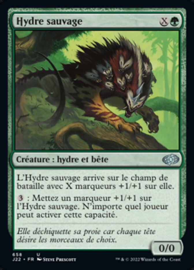 image Hydre sauvage