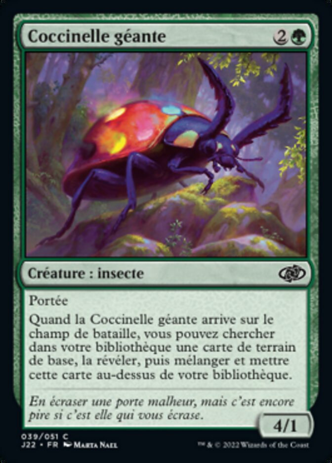 image Coccinelle géante