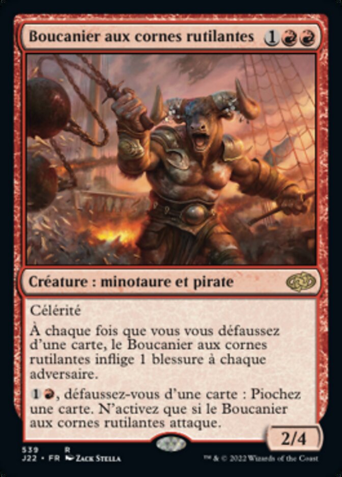 image Boucanier aux cornes rutilantes