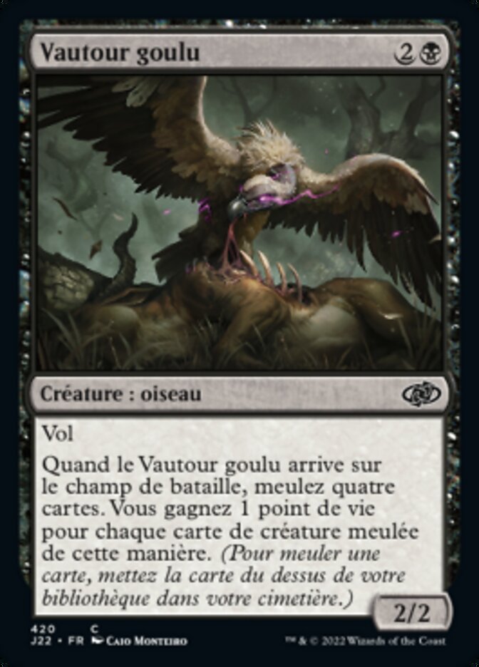 image Vautour goulu