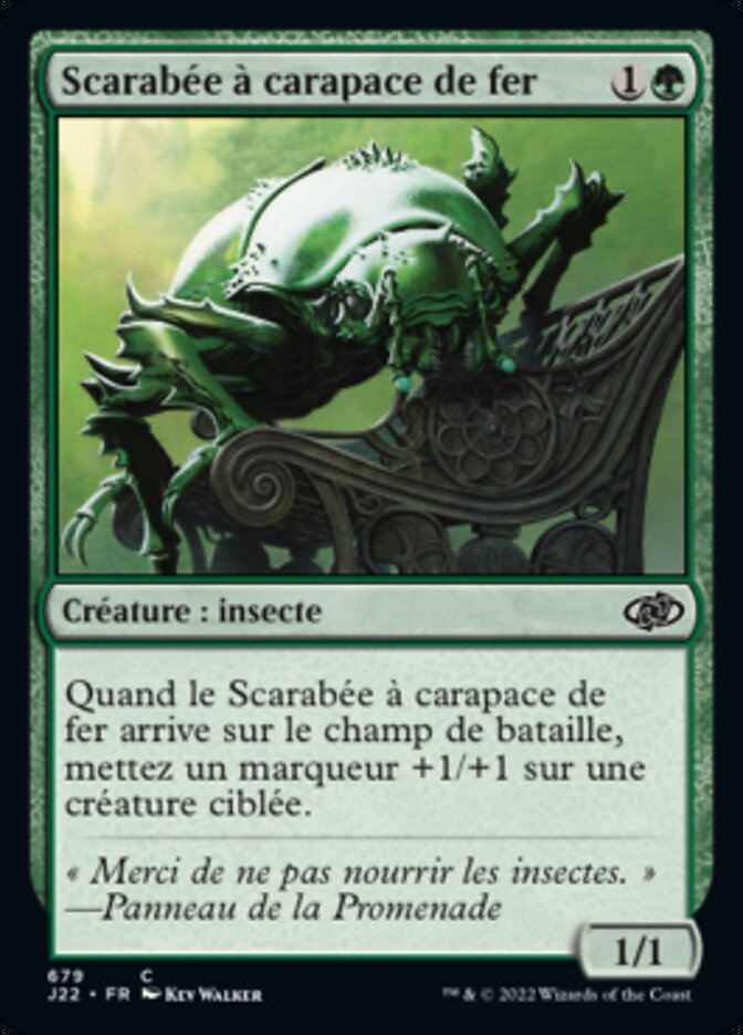 image Scarabée à carapace de fer