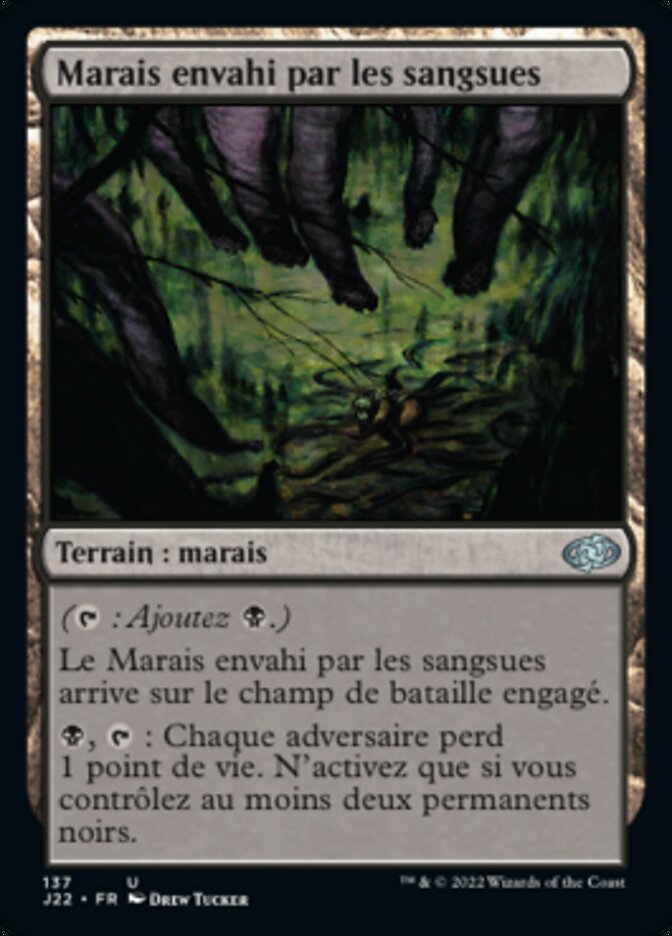 image Marais envahi par les sangsues