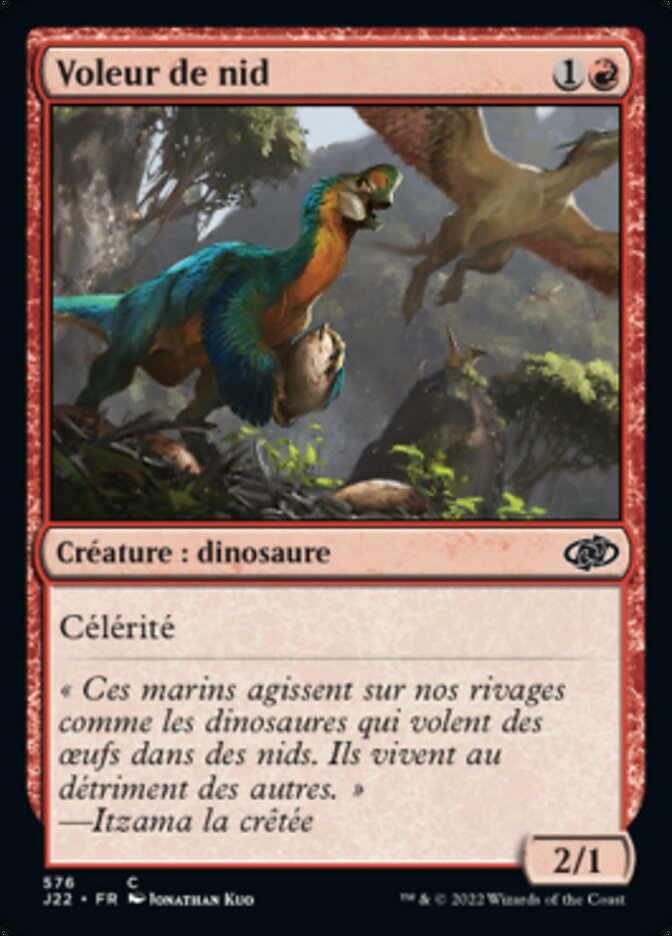 image Voleur de nid