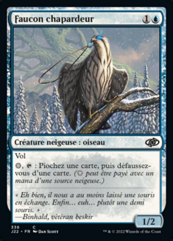 image Faucon chapardeur