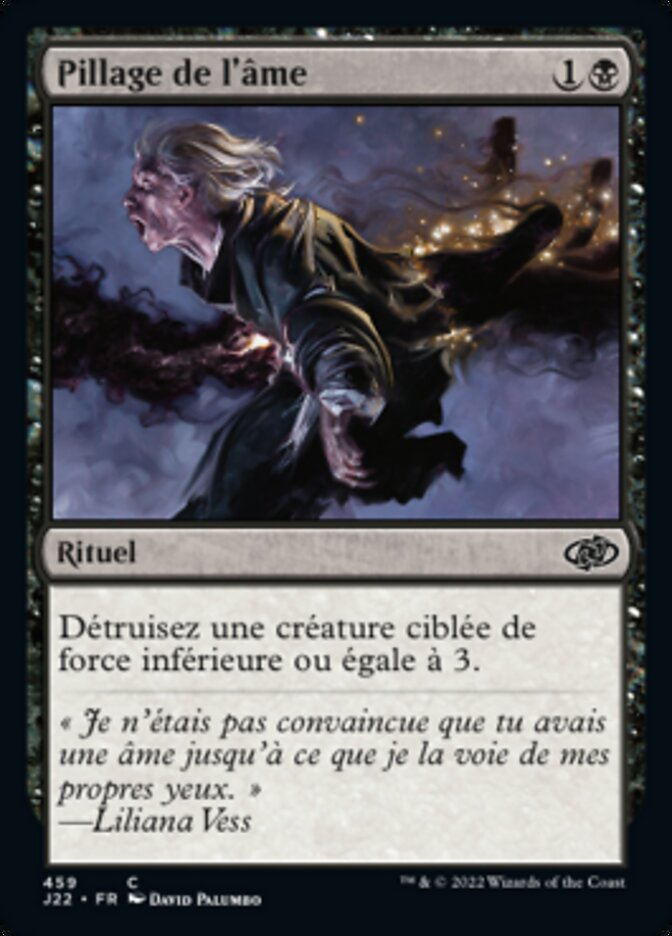 image Pillage de l'âme