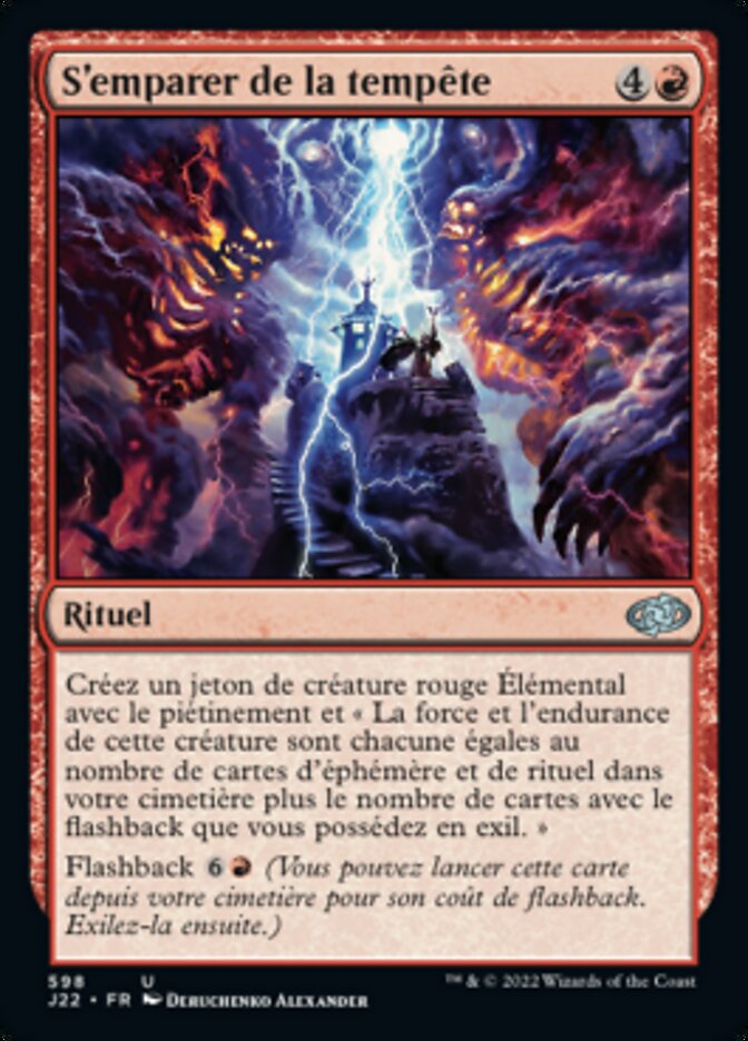 image S'emparer de la tempête