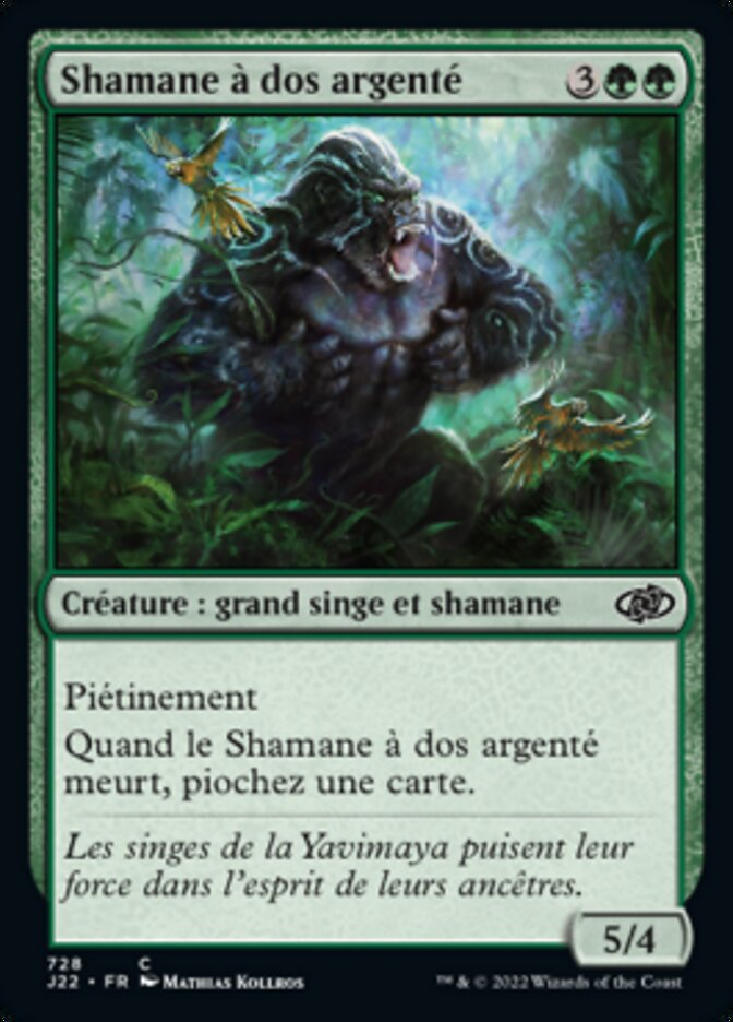image Shamane à dos argenté