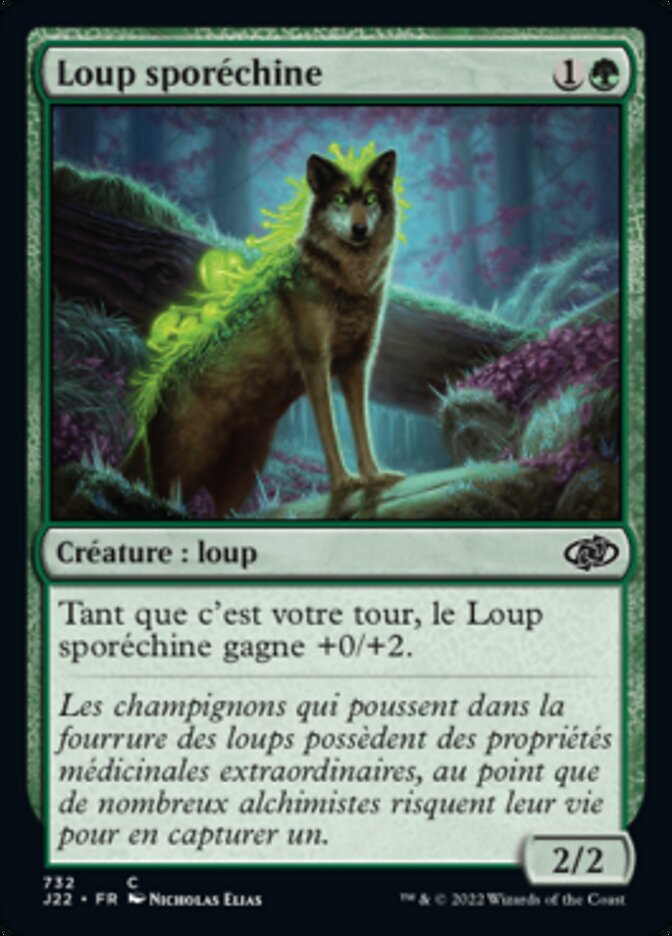 image Loup sporéchine