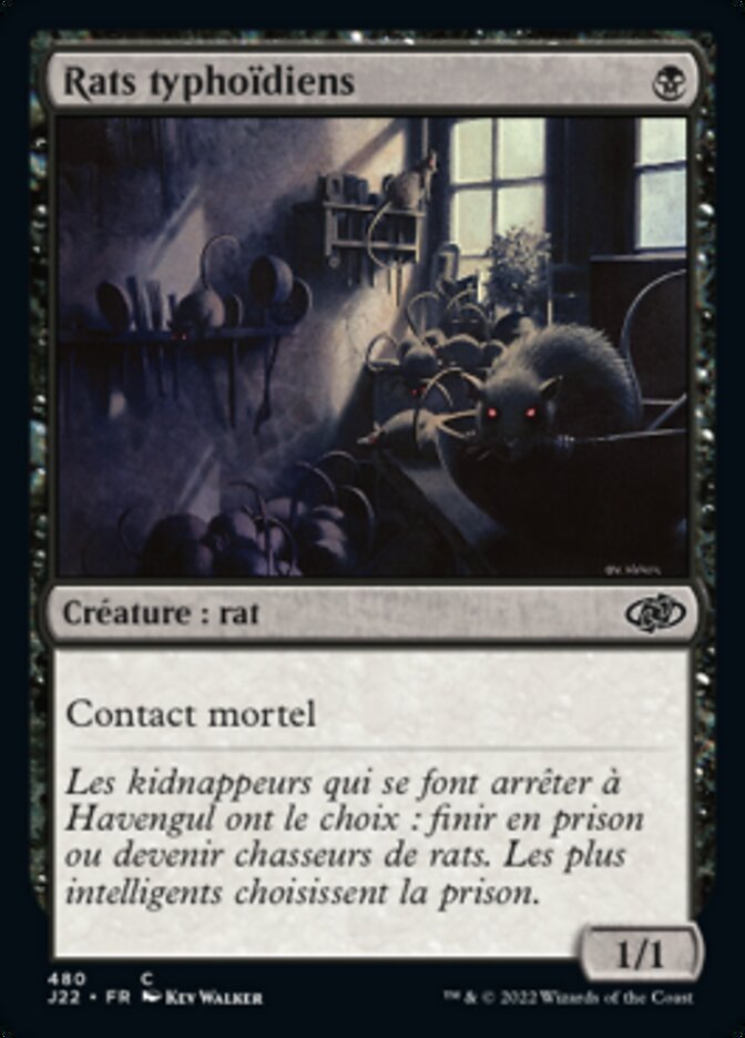 image Rats typhoïdiens