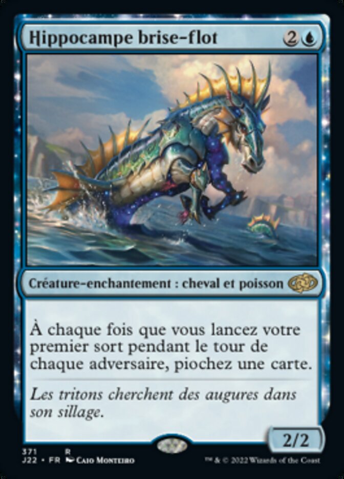 image Hippocampe brise-flot