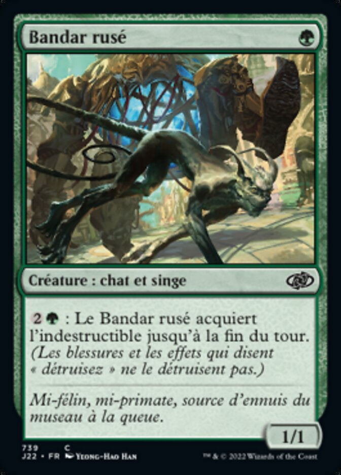 image Bandar rusé