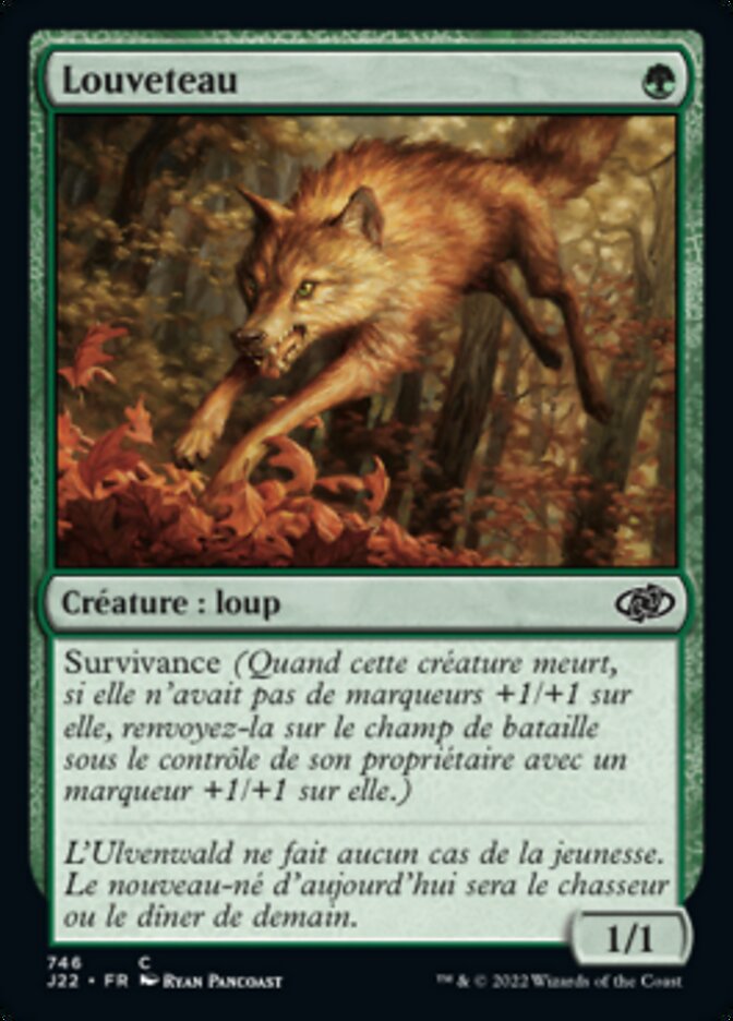 image Louveteau