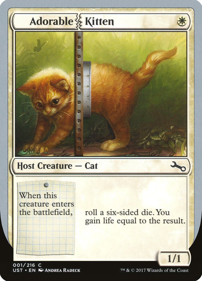 image Adorable Kitten