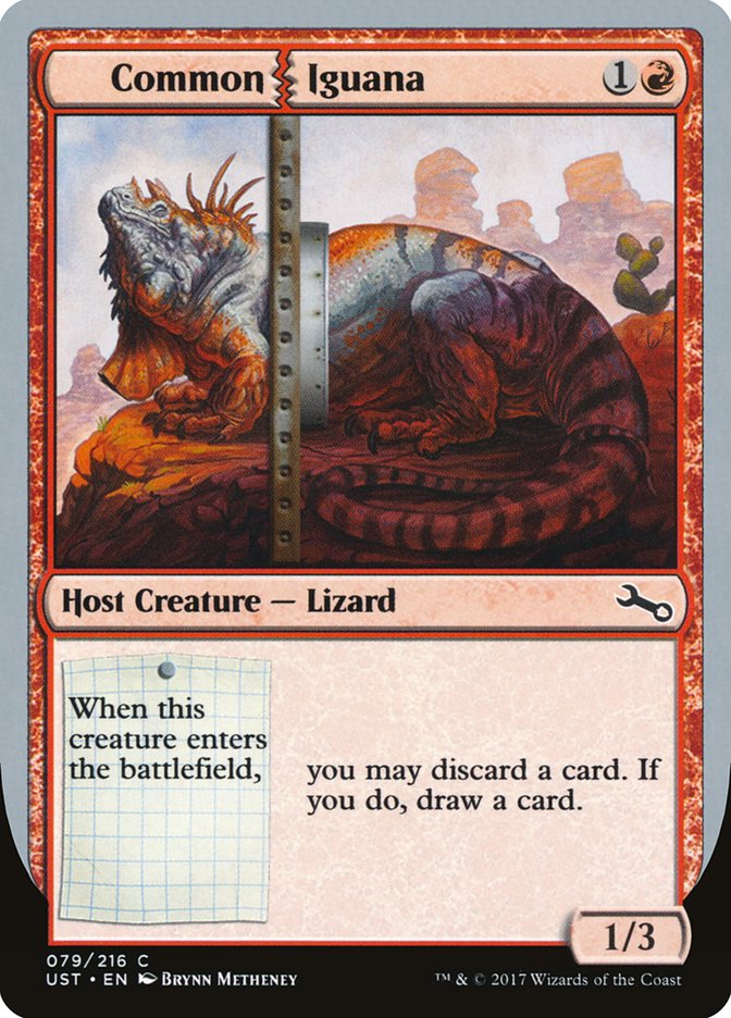 image Common Iguana