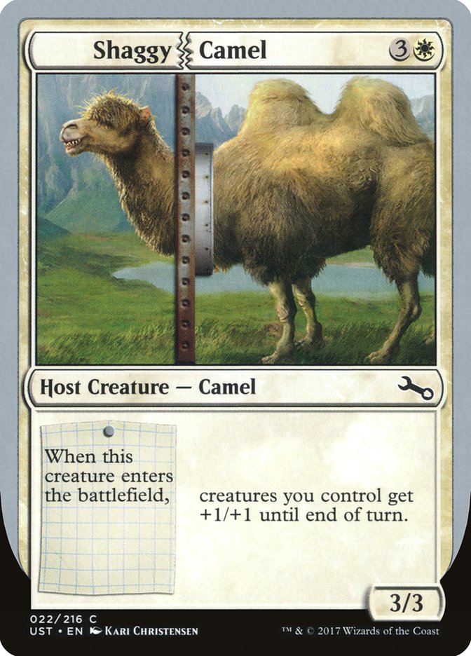 image Shaggy Camel