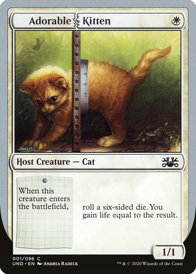 image Adorable Kitten
