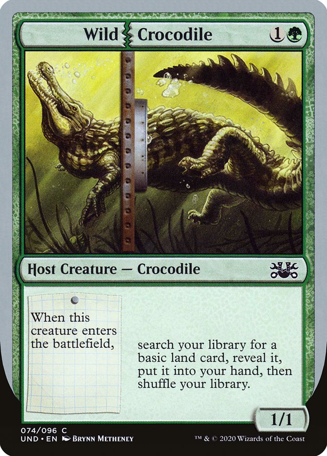 image Wild Crocodile