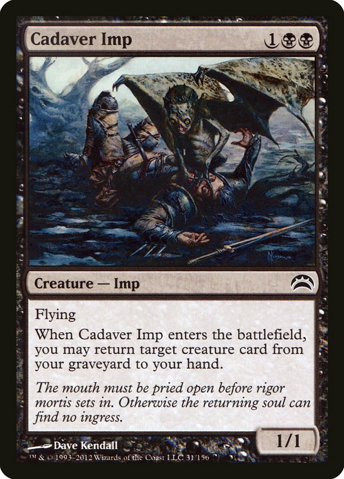 image Cadaver Imp