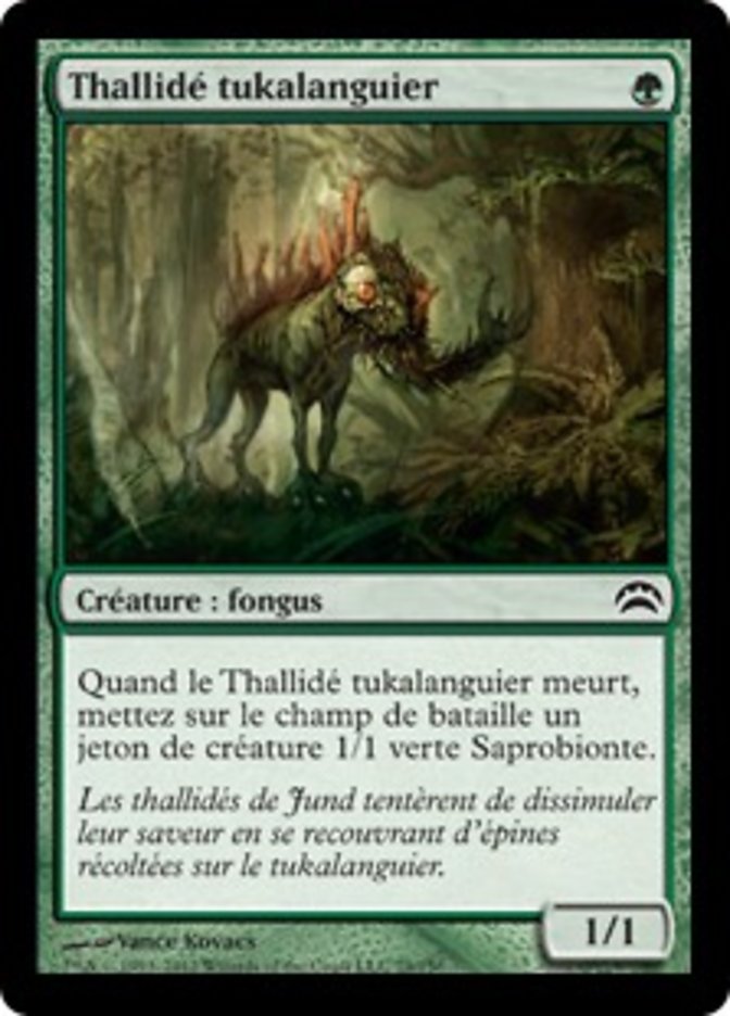 image Thallidé tukalanguier