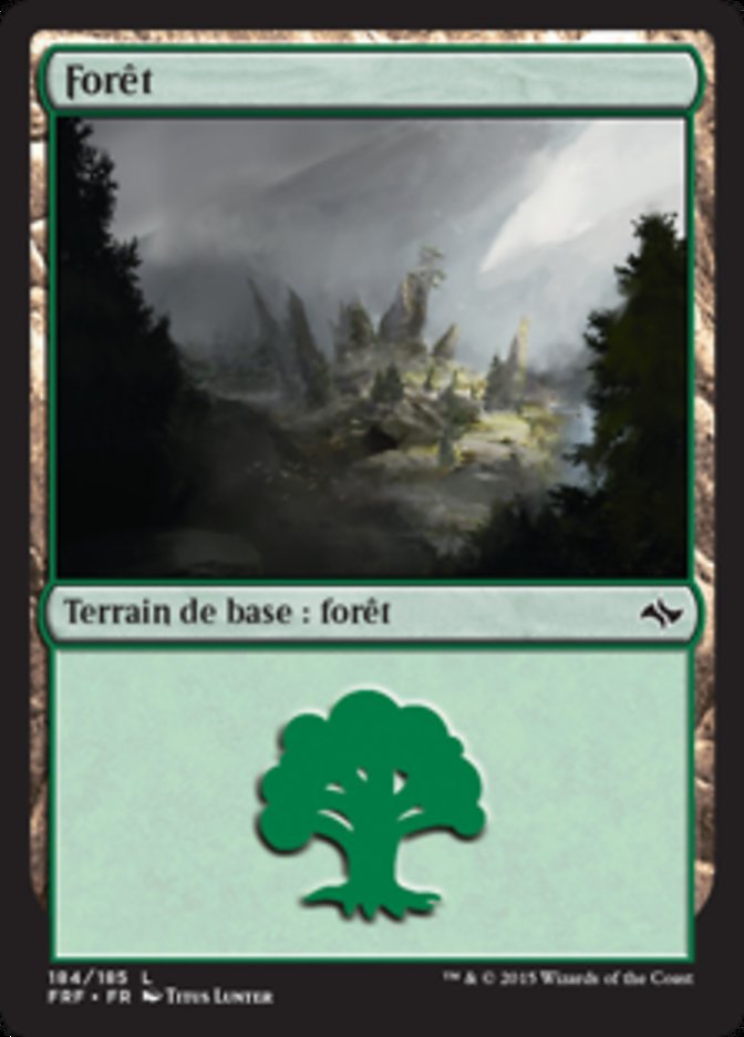 image Forêt