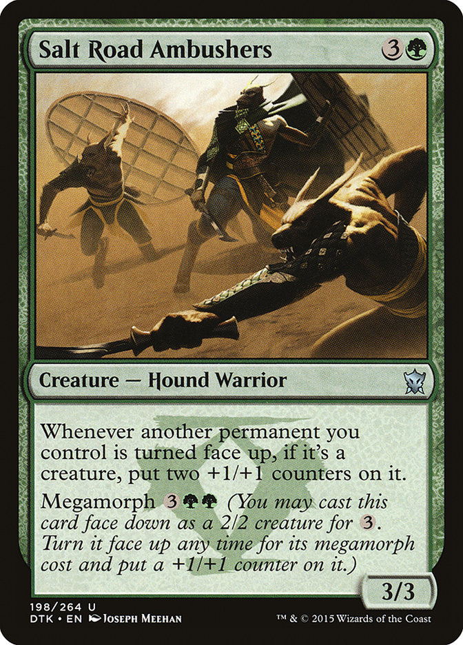 image Salt Road Ambushers