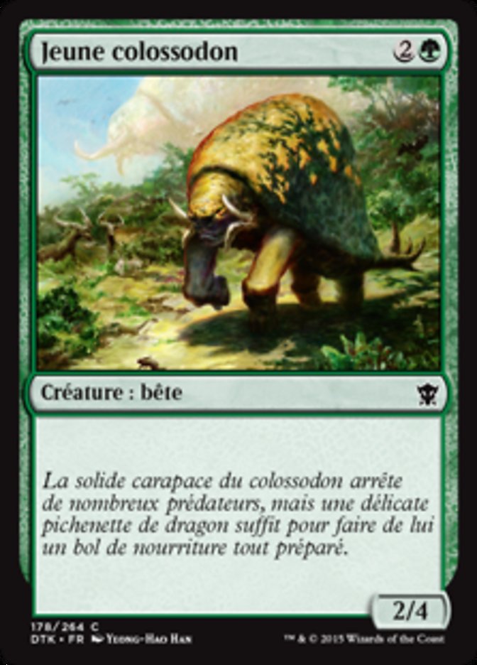 image Jeune colossodon