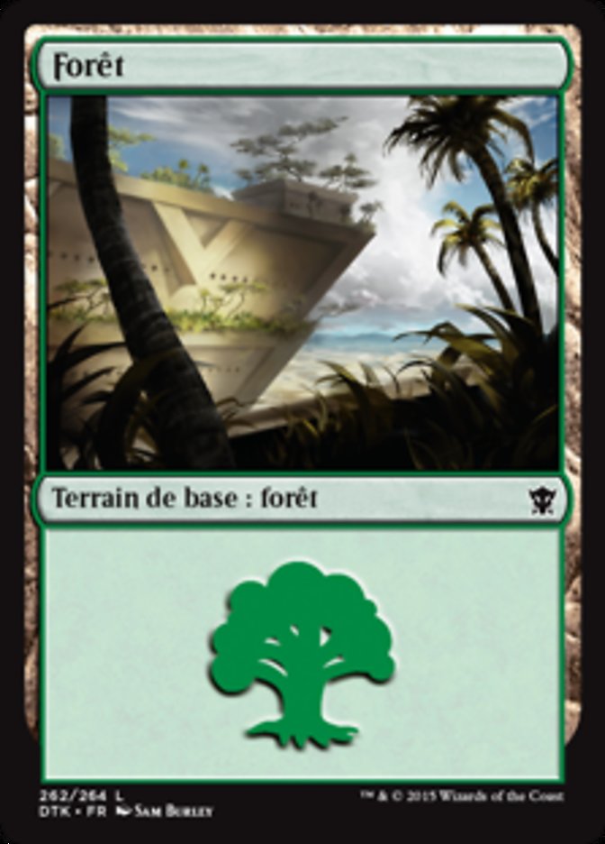 image forêt