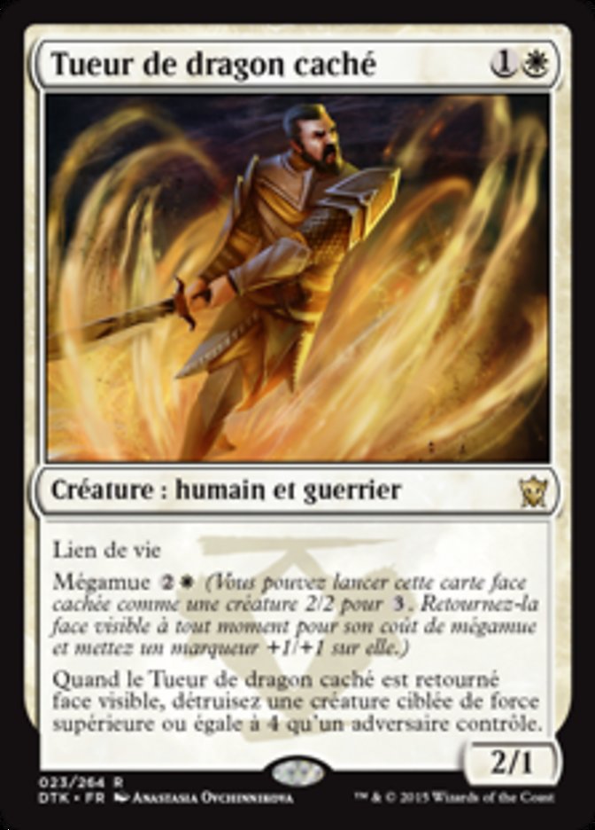image Tueur de dragon caché