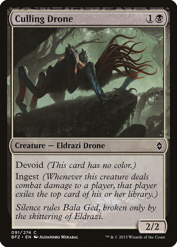 image Culling Drone