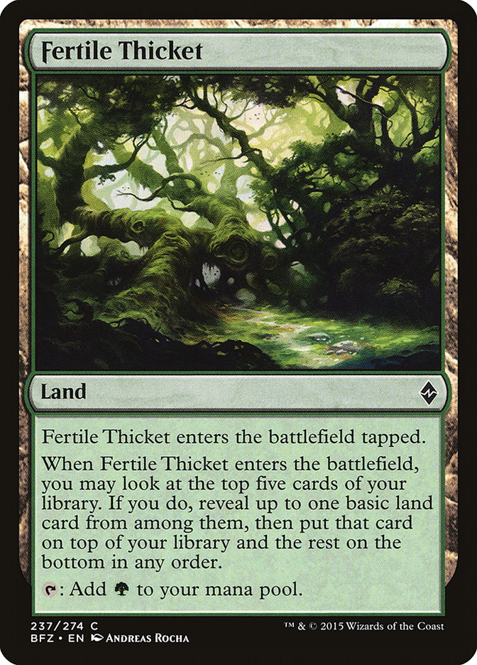 image Fertile Thicket