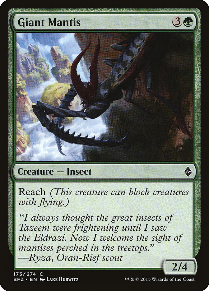 image Giant Mantis