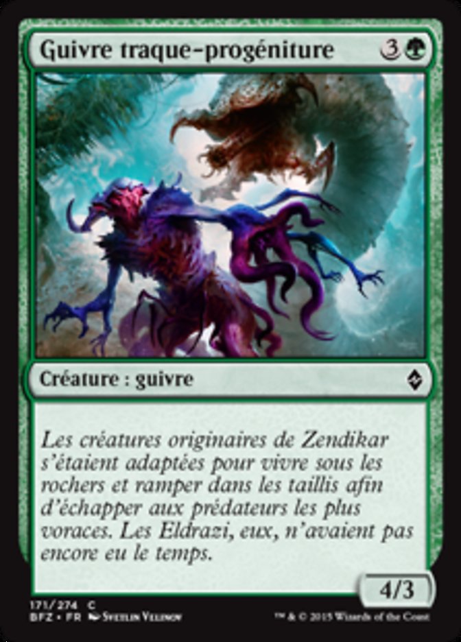 image Guivre traque-progéniture