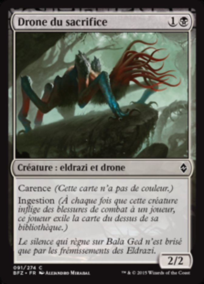 image Drone du sacrifice