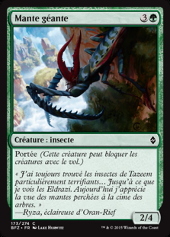 image Mante géante