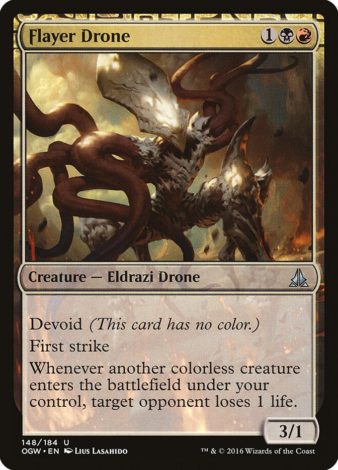 image Flayer Drone