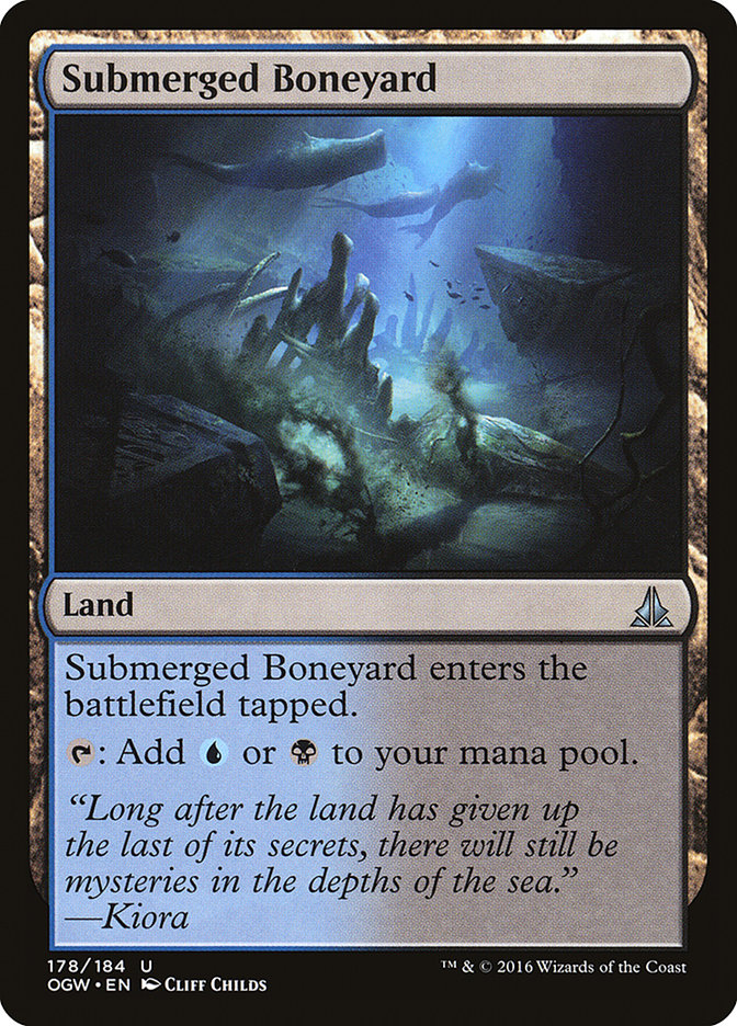 image Submerged Boneyard