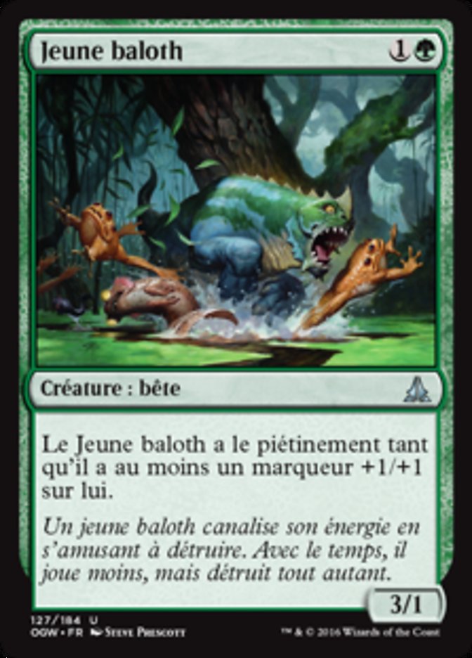 image Jeune baloth