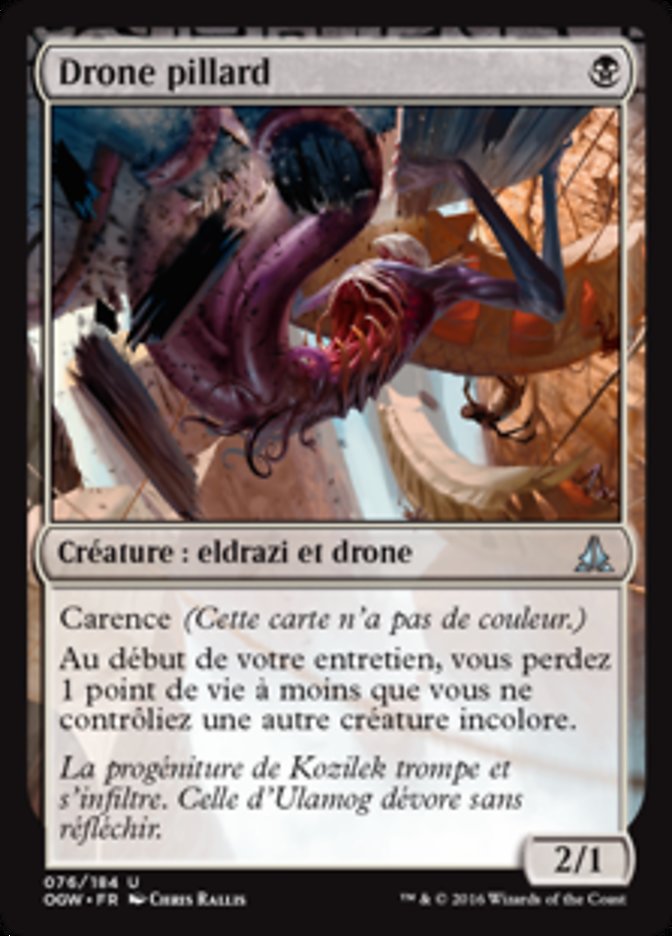 image Drone pillard