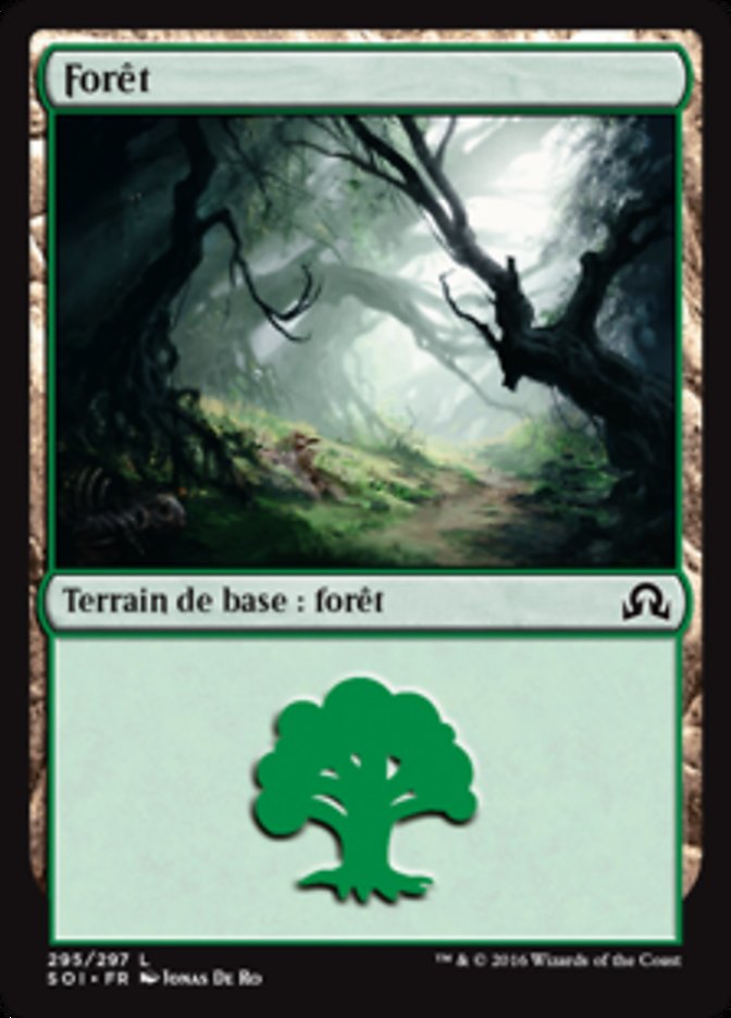 image Forêt