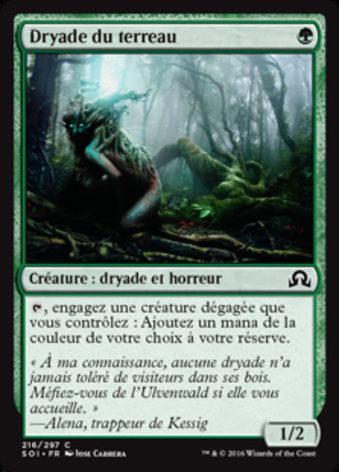 image Dryade du terreau