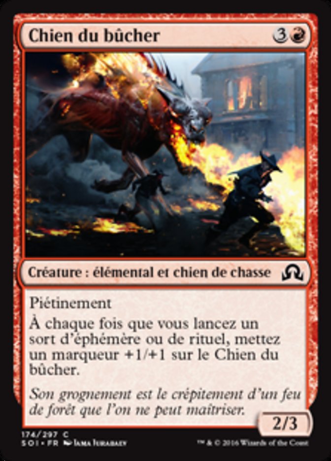 image Chien du bûcher