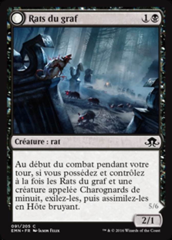 image Rats du graf