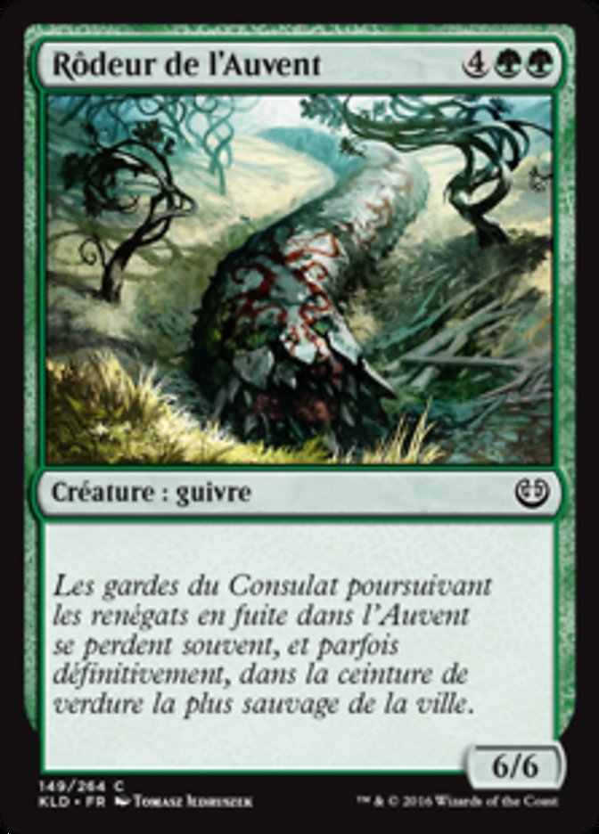image Rôdeur de l'Auvent