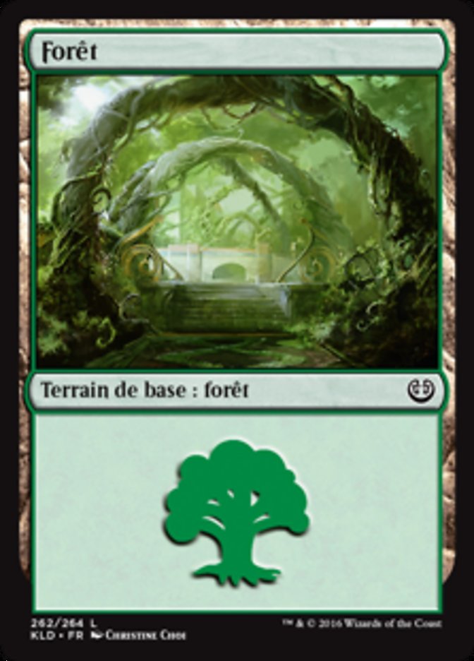 image Forêt