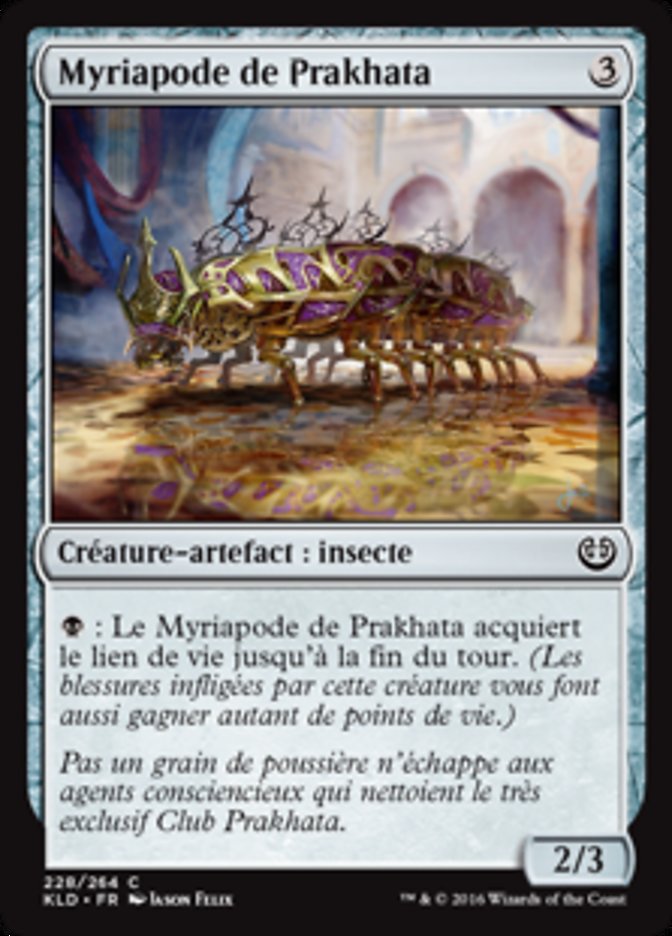 image Myriapode de Prakhata