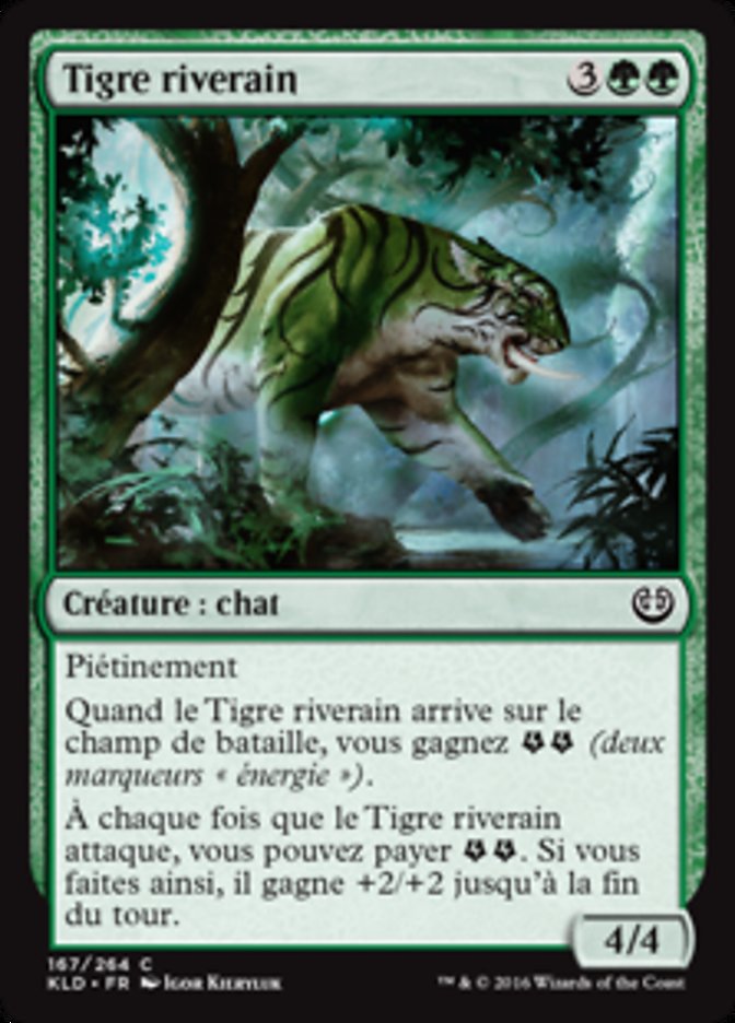 image Tigre riverain