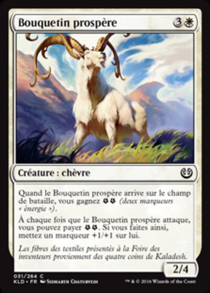 image Bouquetin prospère