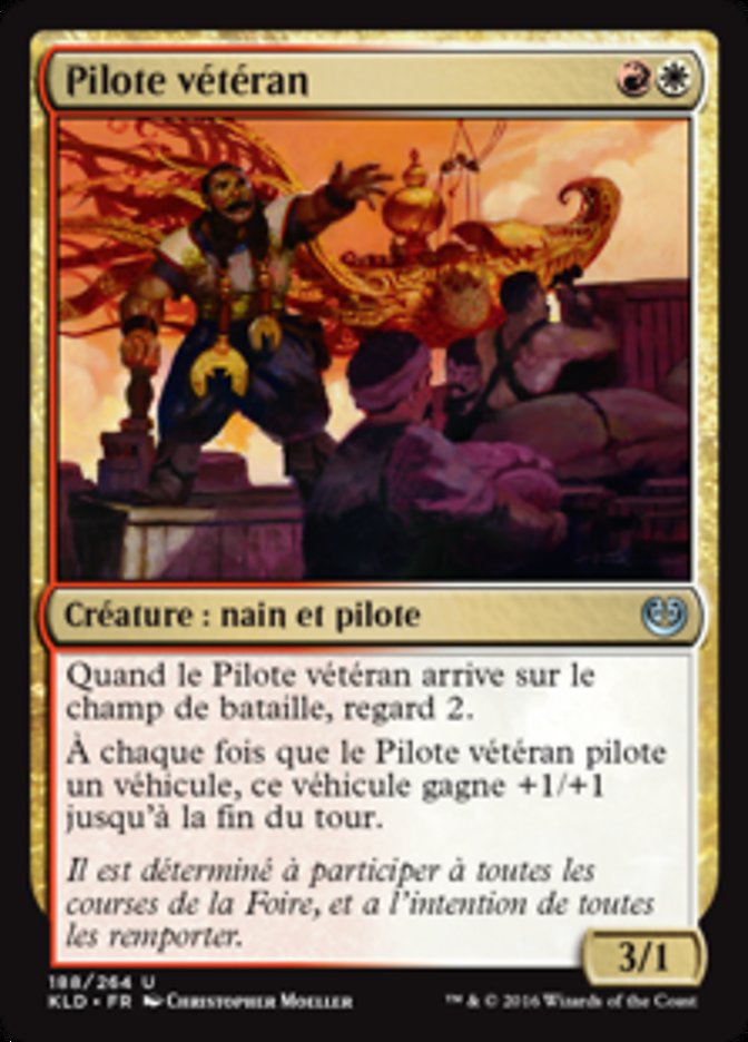 image Pilote vétéran