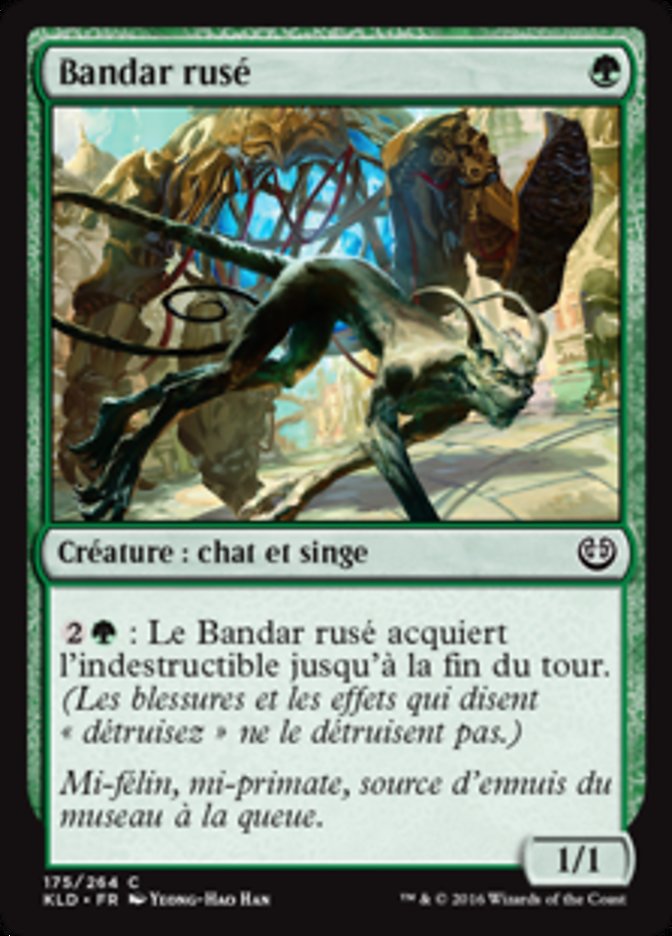 image Bandar rusé